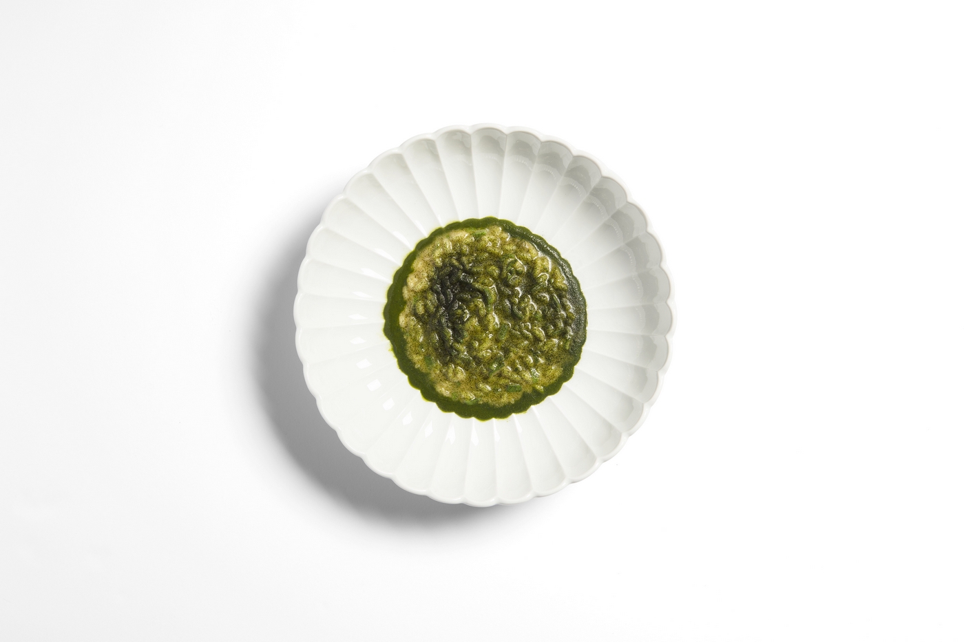 Riso del Chianti: cinghiale olivo e cipressi