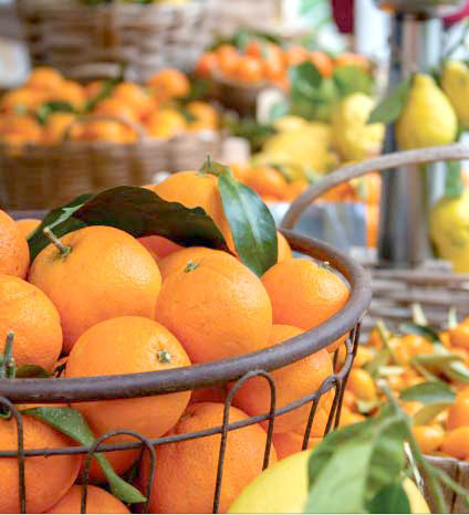 arance pernambucco