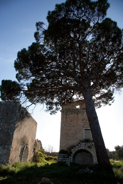 Tenuta De Carlo, torre di Mossa