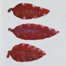 annum novum e foglie di ambra