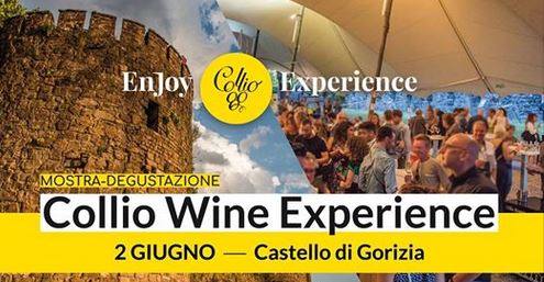 collio wine experience