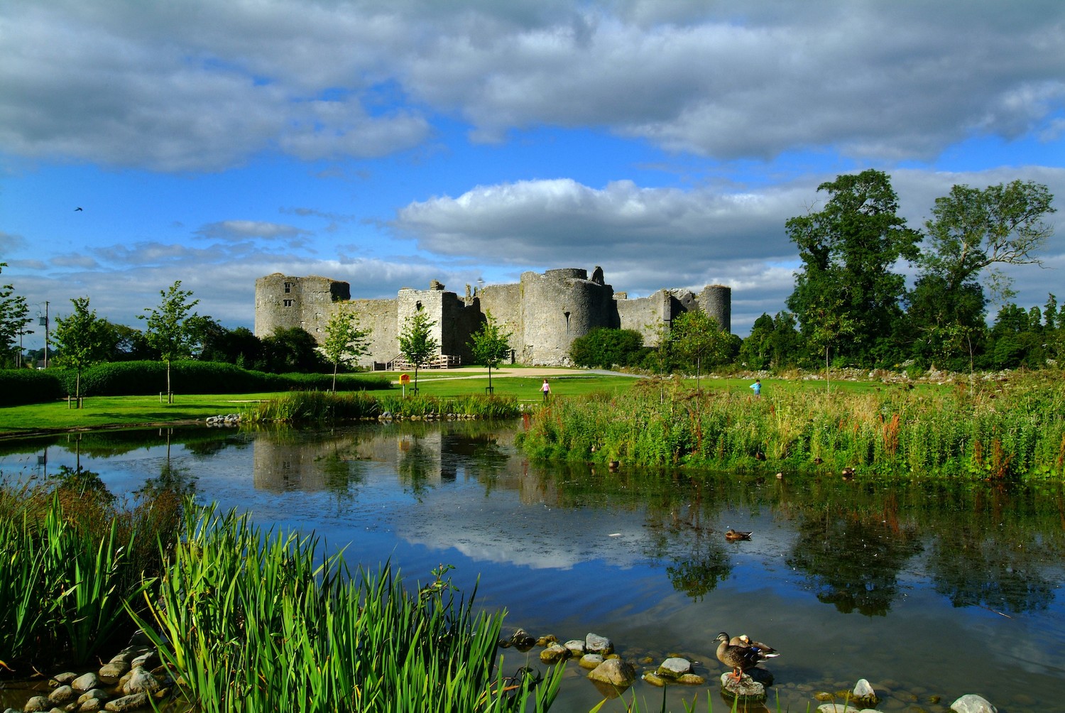 Roscommon castle