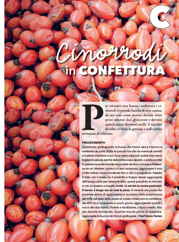 confettura di cinorrodi, articolo pubblicato sul mensile qbquantobasta nel gennaio 2019