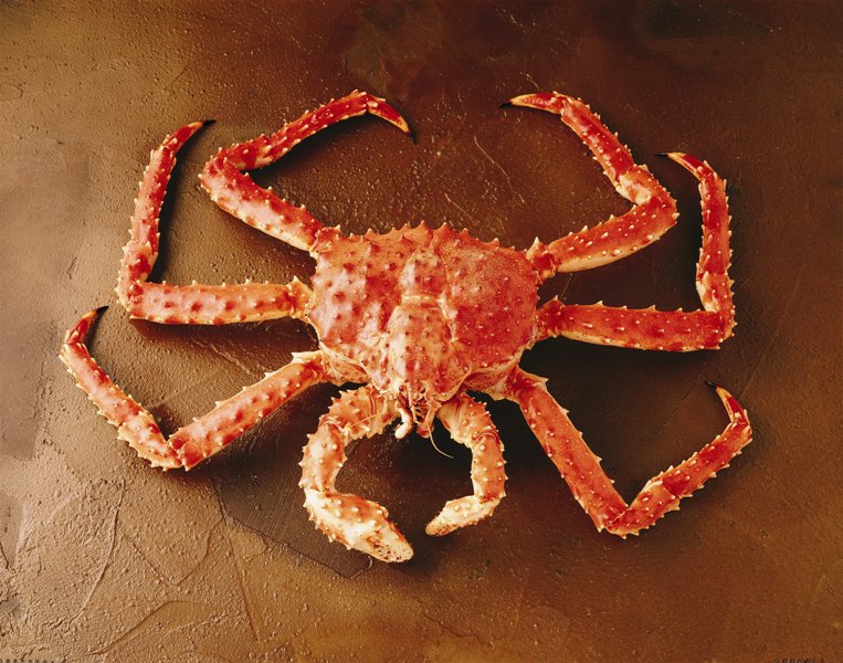 Red king crab by Alaska food