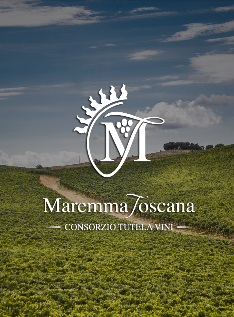 Consorzio Tutela vini della Maremma Toscana