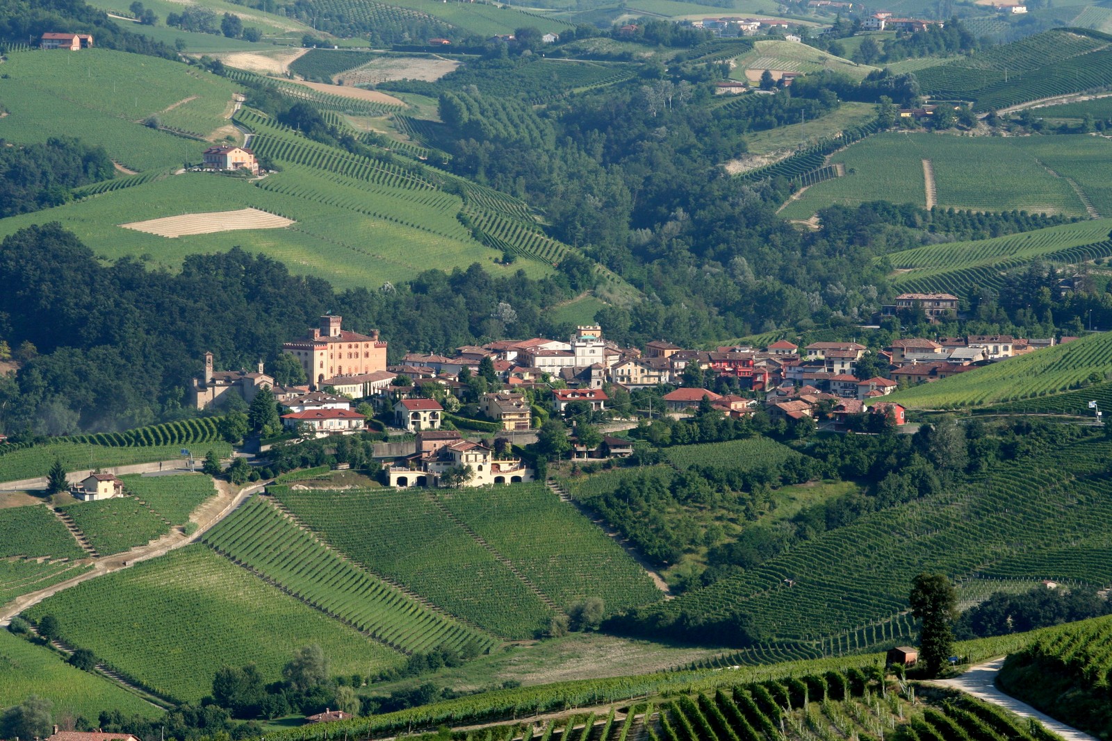 Barolo vista da La Morra in Piemonte