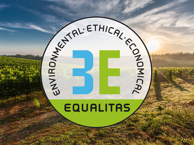 equalitas logo
